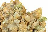 Lustrous, Yellow-Green Apatite Crystals on Calcite - Morocco #277801-2